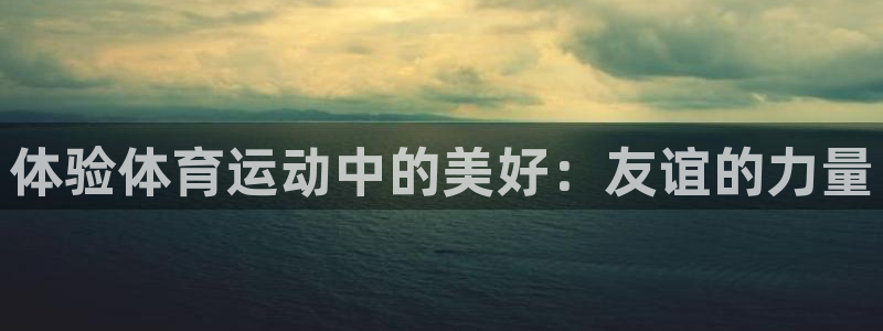 球进体育：体验体育运动中的美好：友谊的力量