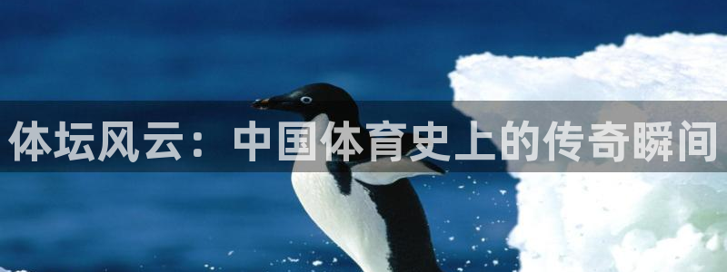 球进体育官方网站入口：体坛风云：中国体育史上的传奇瞬间