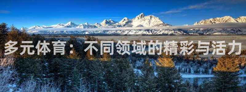 球进体育吧：多元体育：不同领域的精彩与活力