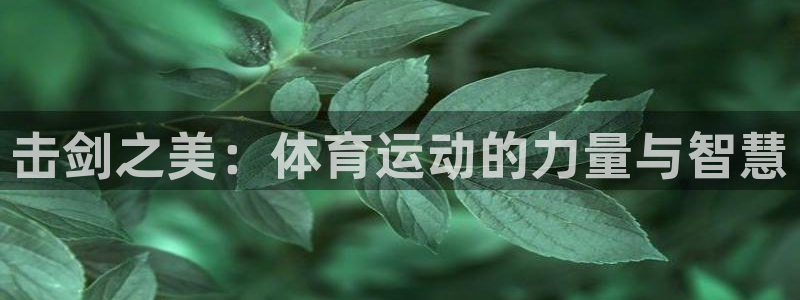 球进体育app：击剑之美：体育运动的力量与智慧