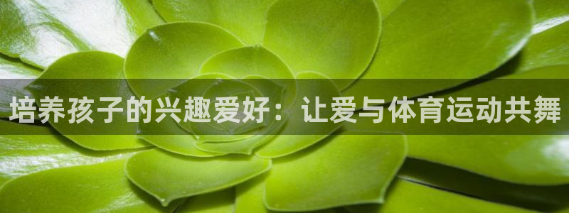 关键词：培养孩子的兴趣爱好：让爱与体育运动共舞