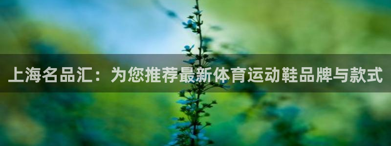 球进体育官方网站入口：上海名品汇：为您推荐最新体育运动鞋品牌与款式