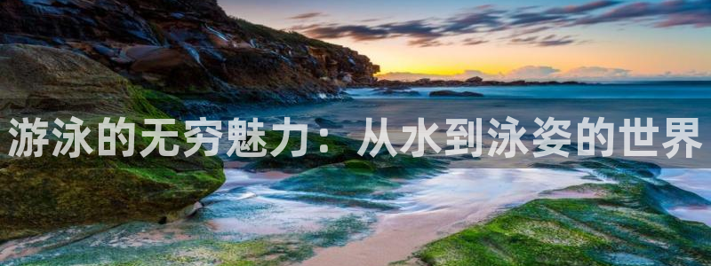 关键词：游泳的无穷魅力：从水到泳姿的世界