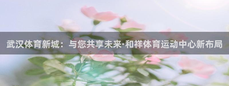 球进体育APP下载安装：武汉体育新城：与您共享未来·和祥体育运动中心新布局