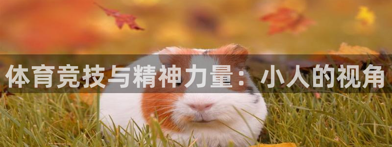 球进体育：体育竞技与精神力量：小人的视角