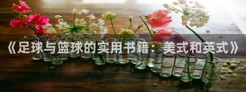 关键词：《足球与篮球的实用书籍：美式和英式》